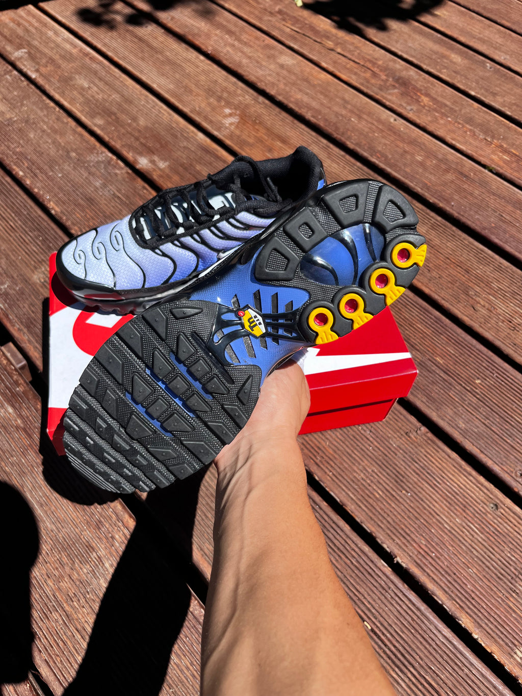 Nike Air Max TN Sky