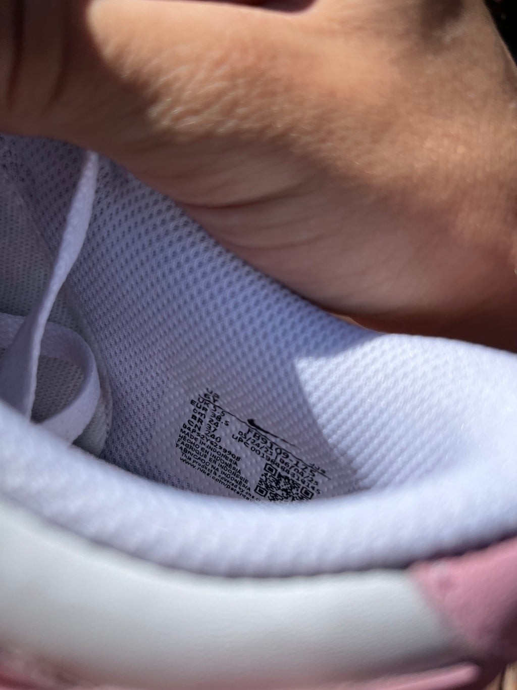 Nike Dunk Low Pink Pony
