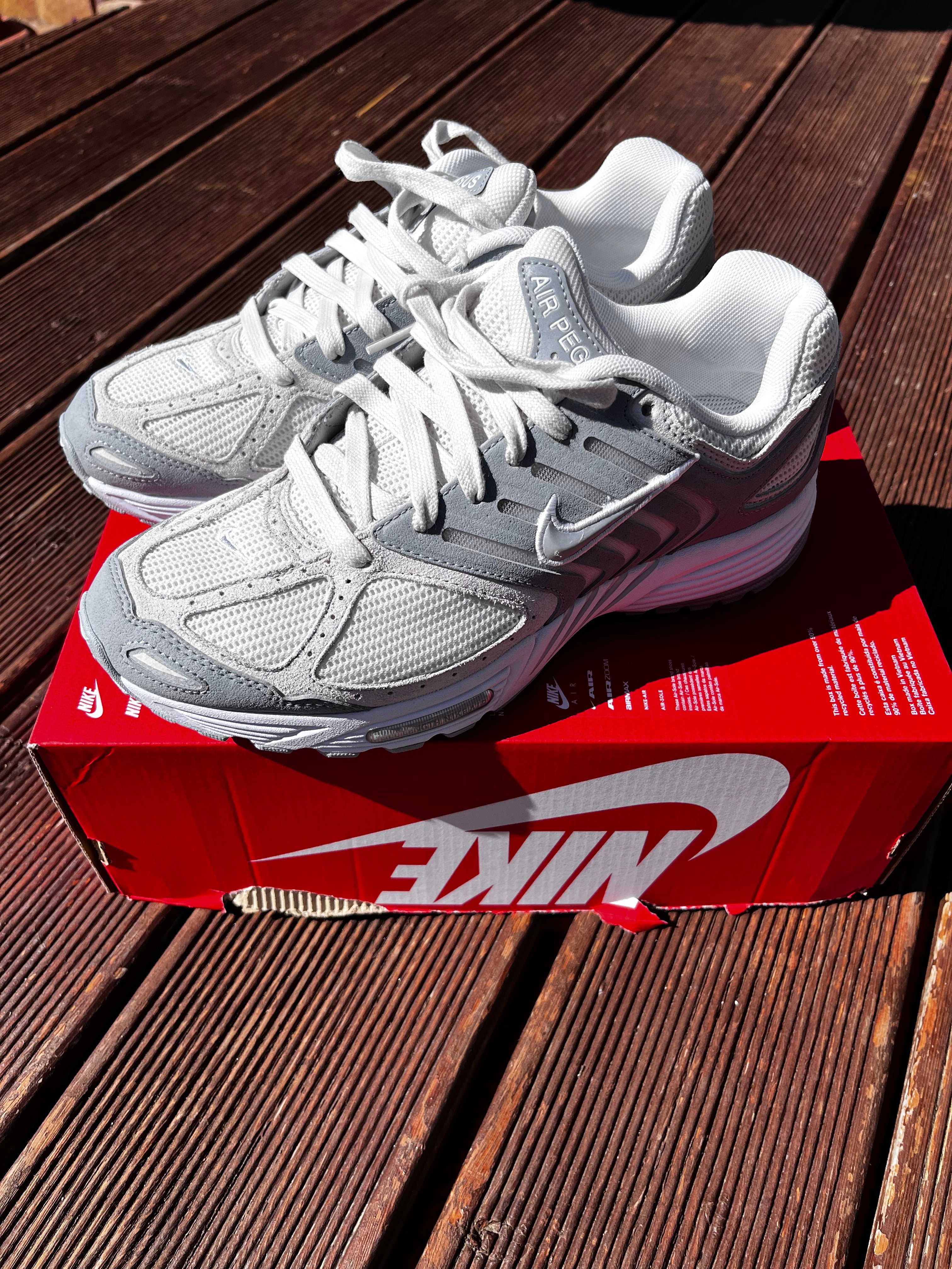 Nike Pegasus 2005