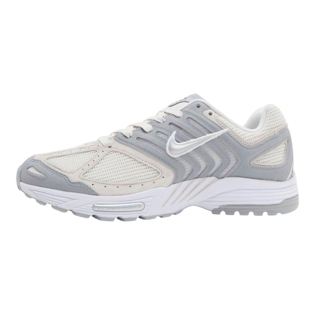 Nike Pegasus 2005
