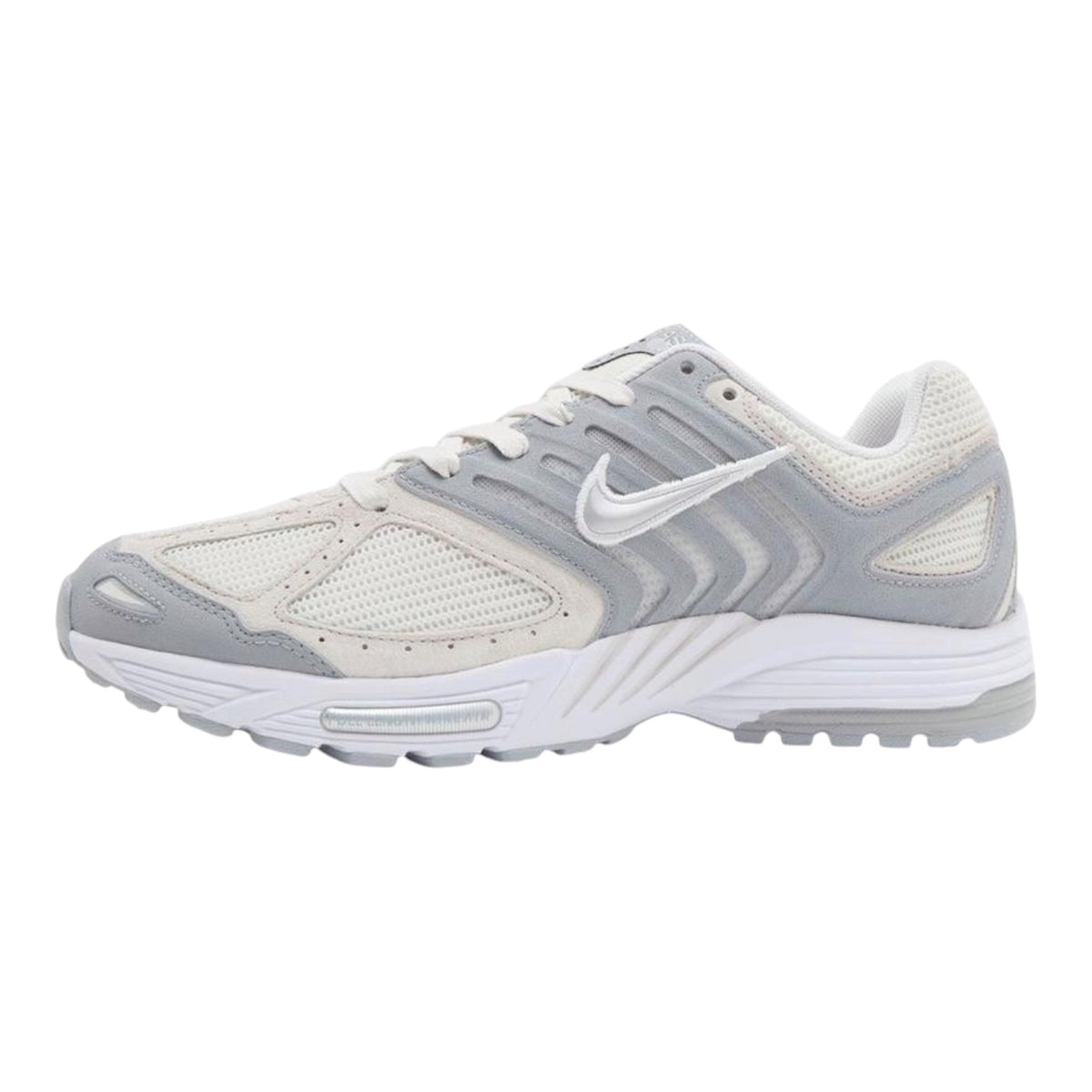 Nike Pegasus 2005