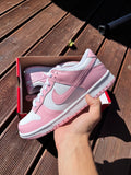 Nike Dunk Low Pink Pony